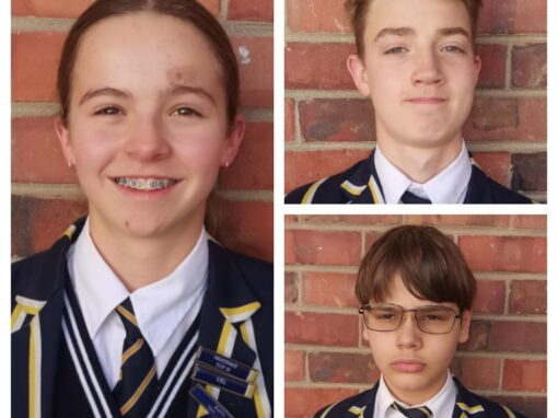2025: UCT Olimpiade – verdere rondtes