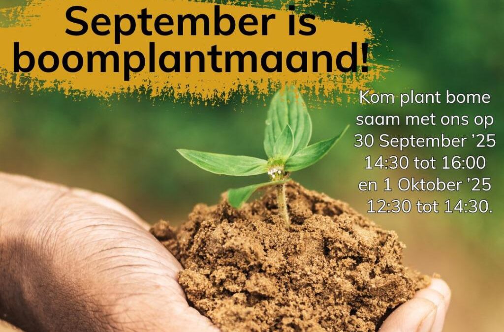 Kom plant saam ‘n boom!