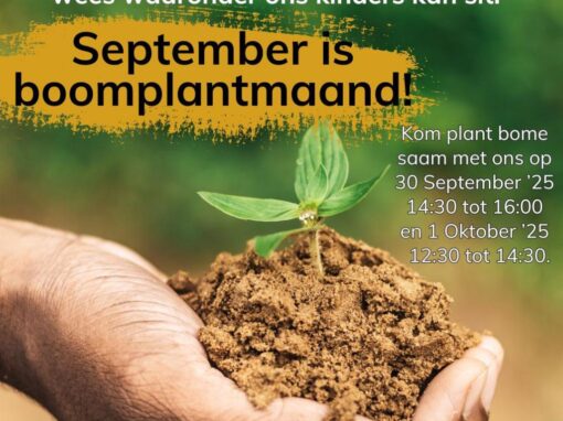 Kom plant saam ‘n boom!